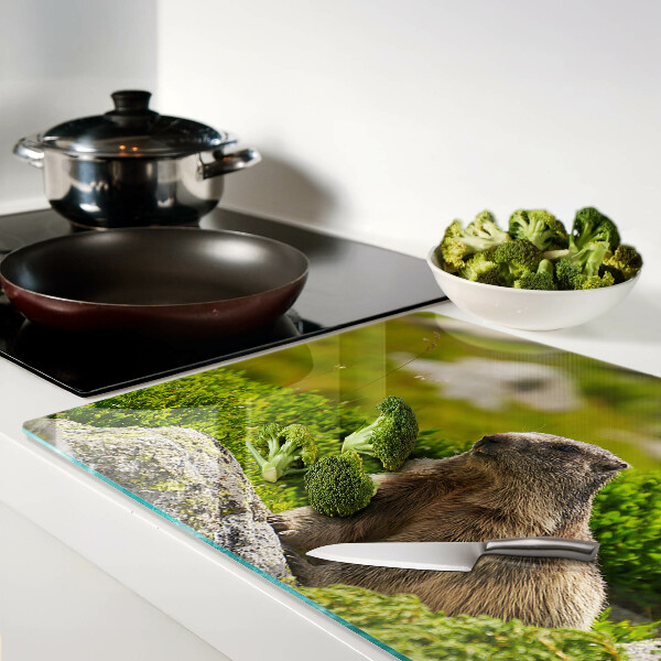 Snijplanken van glas Marmot tegen een achtergrond van groen gras