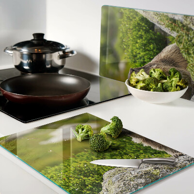 Snijplanken van glas Marmot tegen een achtergrond van groen gras