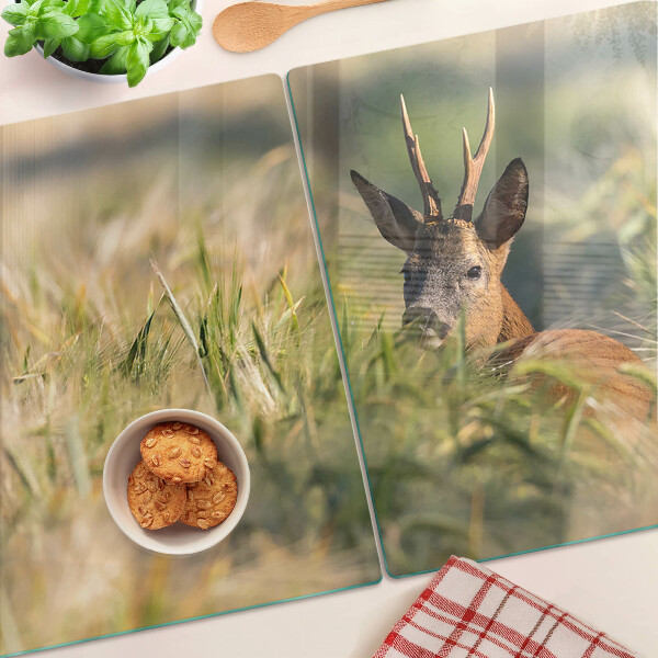 Snijplanken glas Een reekalfje in het veld