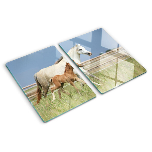 Glazen snijplanken Een paard met een veulen in een weiland.