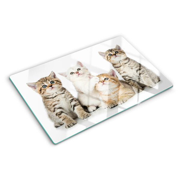 Snijplanken van glas Een groepje kittens