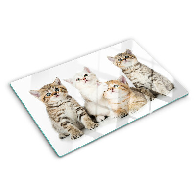 Snijplanken van glas Een groepje kittens