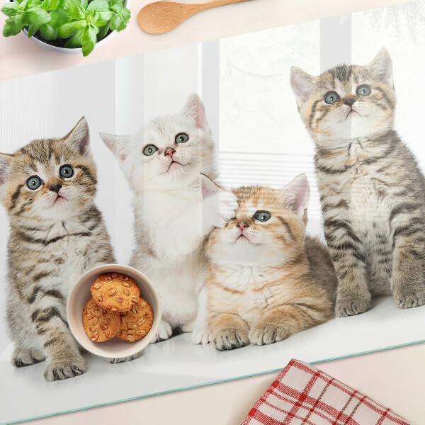 Snijplanken van glas Een groepje kittens