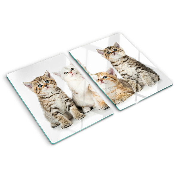 Snijplanken van glas Een groepje kittens