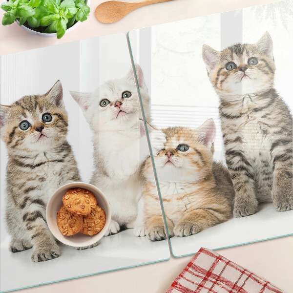 Snijplanken van glas Een groepje kittens