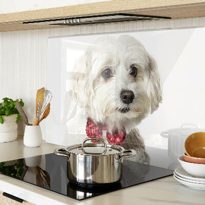 Glazen snijplanken Een hond in een trui met een strik.