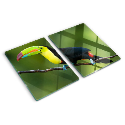 Snijplanken glas Toekan op een tak