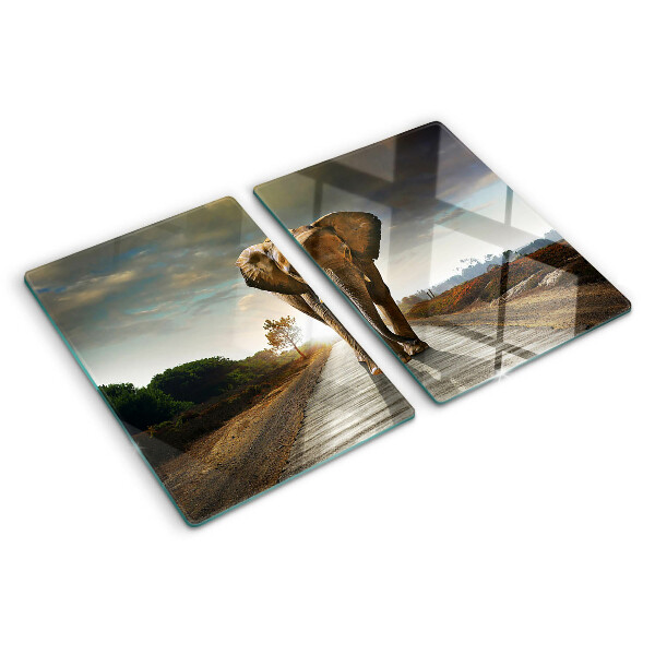 Glazen snijplanken Olifant op de weg bij zonsondergang