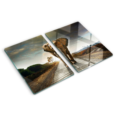 Glazen snijplanken Olifant op de weg bij zonsondergang