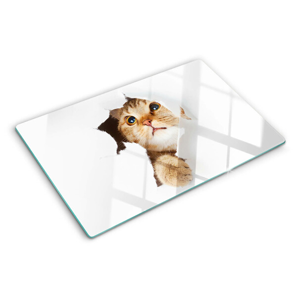Snijplanken glas Een kat die door een gat in de muur kijkt.