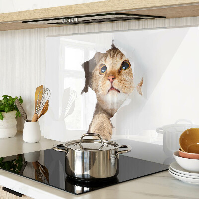 Snijplanken glas Een kat die door een gat in de muur kijkt.