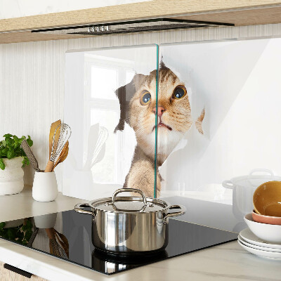 Snijplanken glas Een kat die door een gat in de muur kijkt.