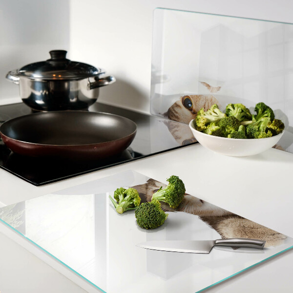 Snijplanken glas Een kat die door een gat in de muur kijkt.