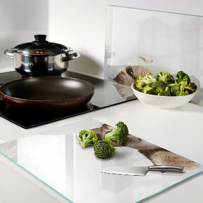 Snijplanken glas Een kat die door een gat in de muur kijkt.