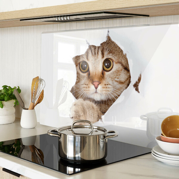 Glazen snijplanken Een kat die uit een gat komt