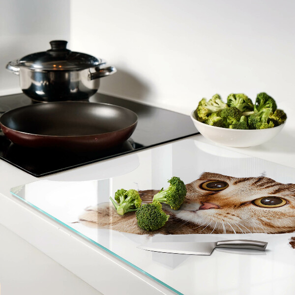 Glazen snijplanken Een kat die uit een gat komt