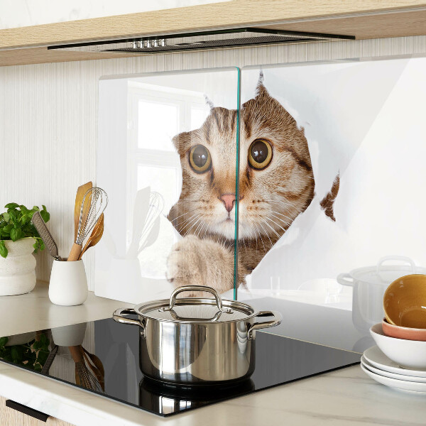 Glazen snijplanken Een kat die uit een gat komt