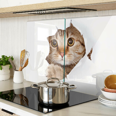 Glazen snijplanken Een kat die uit een gat komt