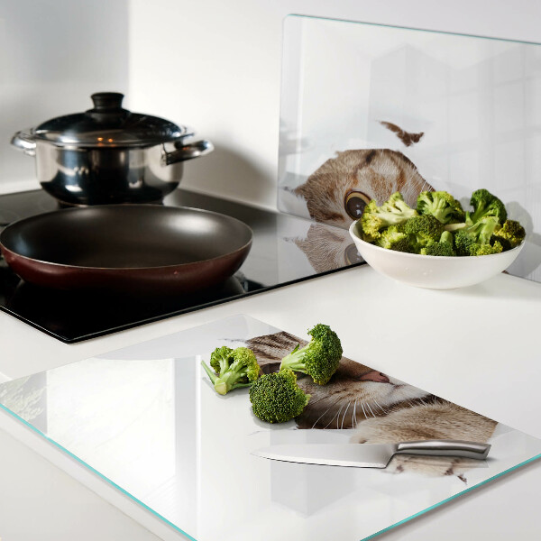 Glazen snijplanken Een kat die uit een gat komt