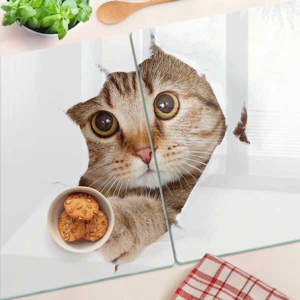Glazen snijplanken Een kat die uit een gat komt