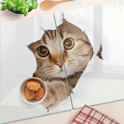 Glazen snijplanken Een kat die uit een gat komt