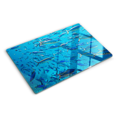 Snijplanken glas Een school vissen in helder water