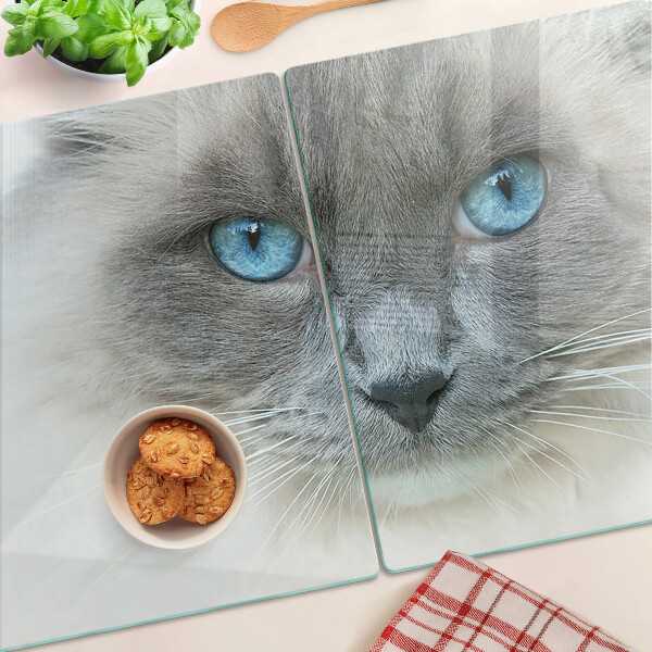 Snijplanken van glas Een kat met blauwe ogen
