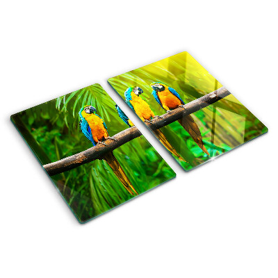 Snijplanken glas Papegaaien op een tak in de tropen