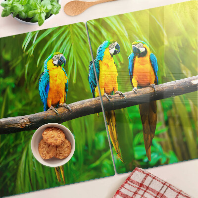 Snijplanken glas Papegaaien op een tak in de tropen
