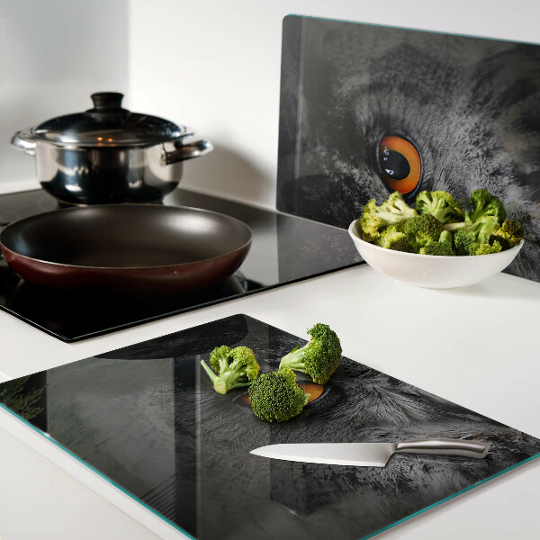 Snijplanken van glas Uil met oranje ogen