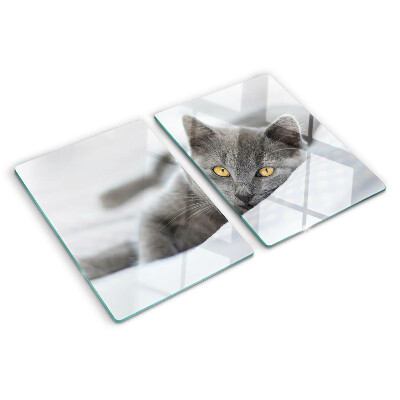 Snijplanken glas Een kat met gele ogen