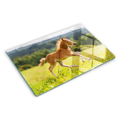 Snijplanken van glas Veulen in de wei