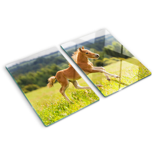 Snijplanken van glas Veulen in de wei