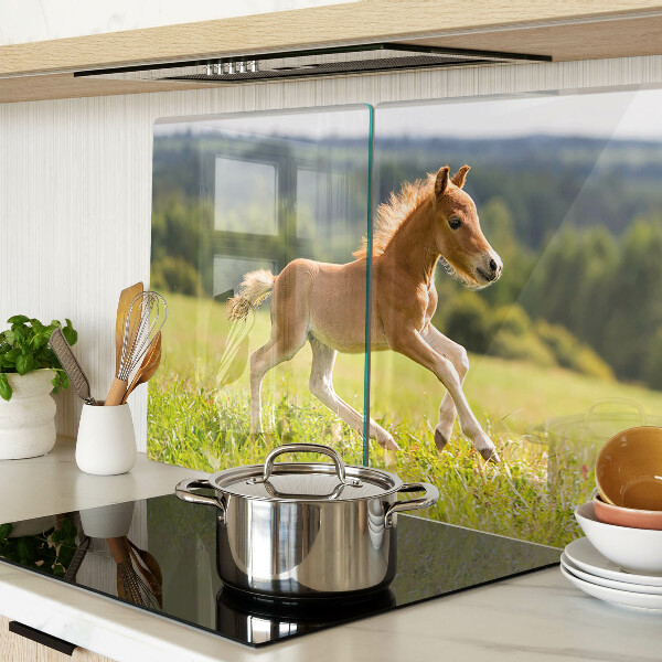 Snijplanken van glas Veulen in de wei