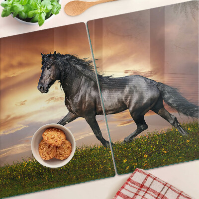 Snijplanken glas Een paard tegen de achtergrond van de ondergaande zon.