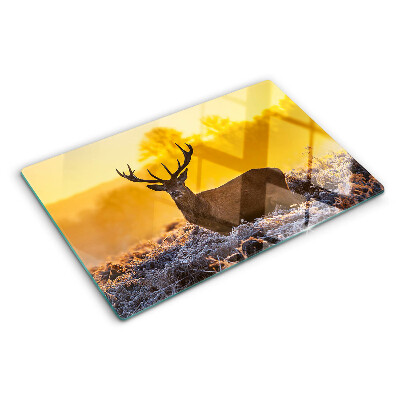 Snijplanken glas Een hert tegen de achtergrond van een ochtendlandschap.