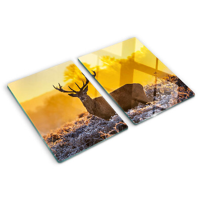 Snijplanken glas Een hert tegen de achtergrond van een ochtendlandschap.