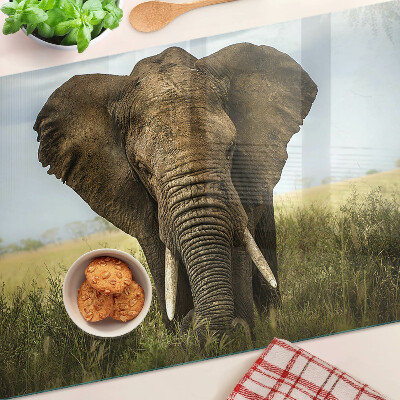 Snijplanken glas Een olifant tegen de achtergrond van de Afrikaanse savanne.