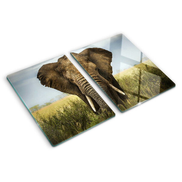 Snijplanken glas Een olifant tegen de achtergrond van de Afrikaanse savanne.