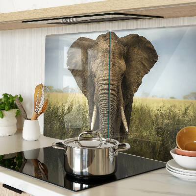 Snijplanken glas Een olifant tegen de achtergrond van de Afrikaanse savanne.