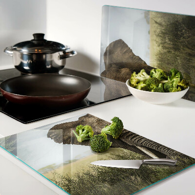 Snijplanken glas Een olifant tegen de achtergrond van de Afrikaanse savanne.