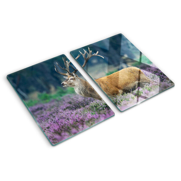 Snijplanken van glas Herten in een lavendellandschap