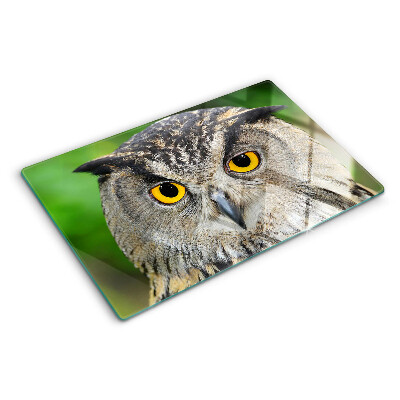Glazen snijplanken Een uil met expressieve ogen