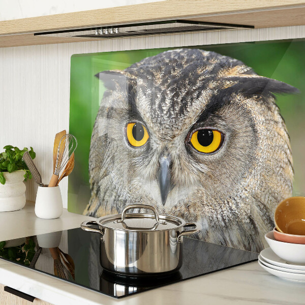 Glazen snijplanken Een uil met expressieve ogen