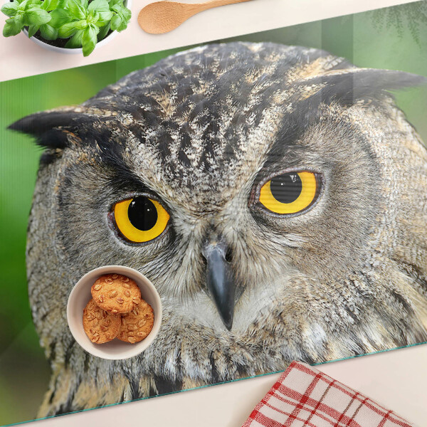 Glazen snijplanken Een uil met expressieve ogen