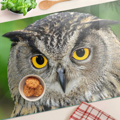 Glazen snijplanken Een uil met expressieve ogen