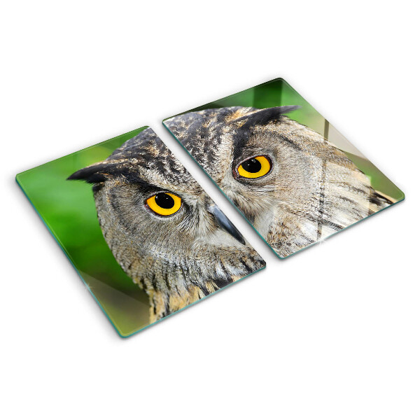 Glazen snijplanken Een uil met expressieve ogen