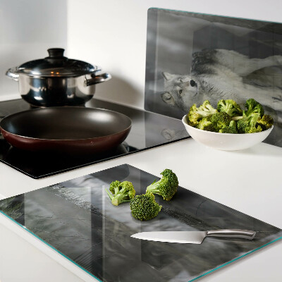 Snijplanken van glas Een wolf in een bosrijke omgeving.