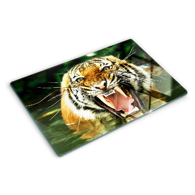 Snijplanken van glas Tijger in de aanval