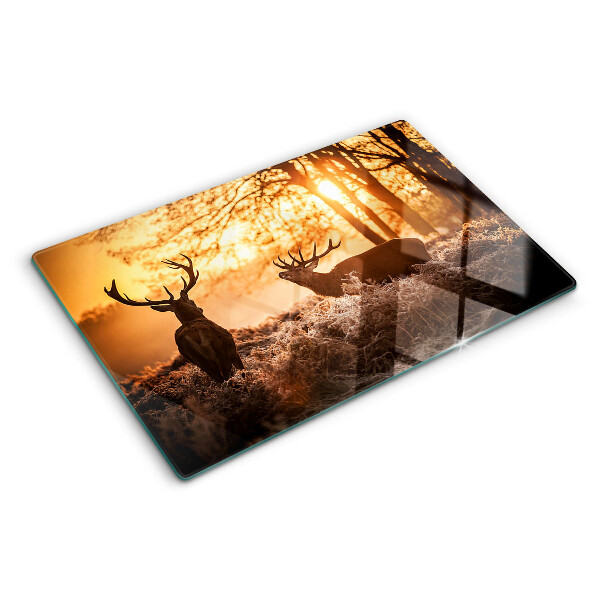 Snijplanken glas Herten in het bos bij zonsondergang